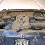 arta masinilor murdare, dirty car art