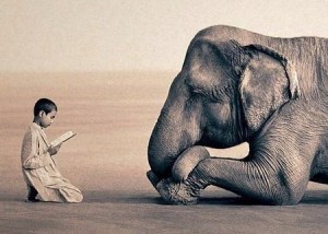 No words necessary imagini descriptive ATT00058