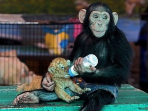 No words necessary imagini descriptive ATT00073